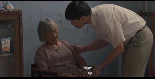 成人想妈妈催泪视频,成年人心中的妈妈催泪瞬间