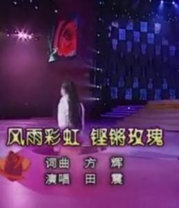 风雨彩虹成人歌曲大全视频,成人歌曲大全视听盛宴
