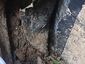 成人钢筋断裂视频播放,揭秘成人建筑安全风险