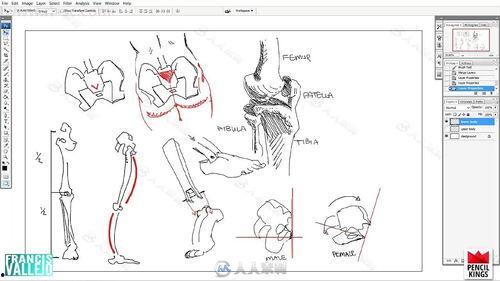 成人体智能训练教学视频,跟随教学视频探索心智成长之路