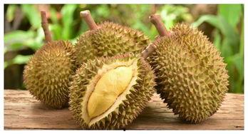 荔枝樱桃榴莲视频成人,探寻水果中的“人生百态”